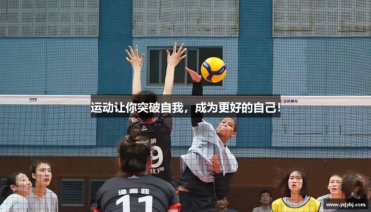 333体育官方app下载